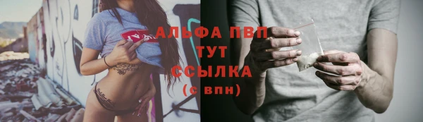 гидра Алексеевка