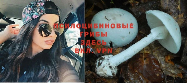 гидра Алексеевка