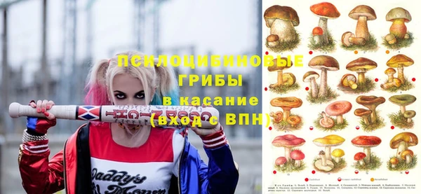 бутират Алексин